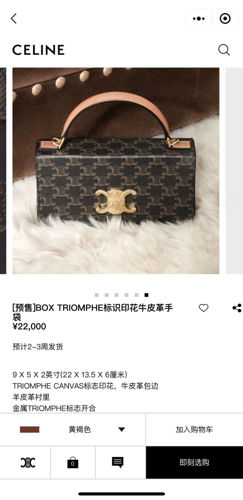 Celine Triomphe Bags